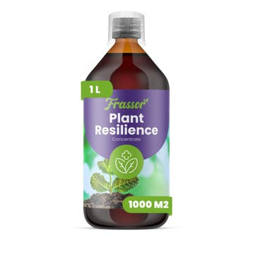 Frassor Plant Resilience Concentraat – 1 L voor 1000 m2, Verzenden, Mest