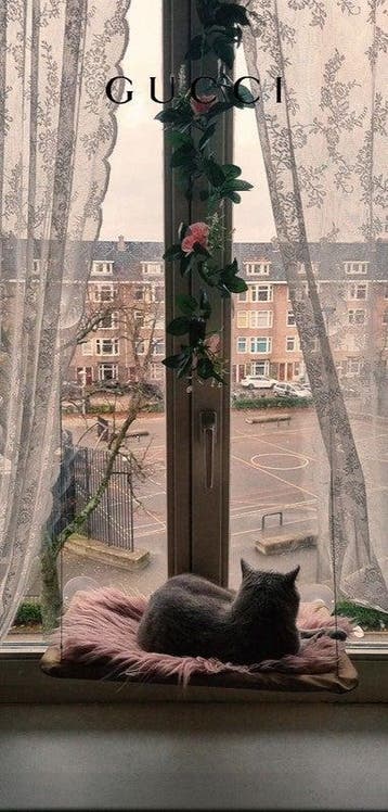 Te huur: Appartement Columbusplein in Amsterdam, Noord-Holland, Appartement, Amsterdam