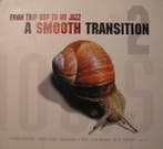 Various - A Smooth Transition - From Trip Hop To Nu Jazz 2, Ophalen of Verzenden, Gebruikt