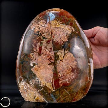 Ocean Jasper – natuurkunstwerk met fascinerende kleur- en