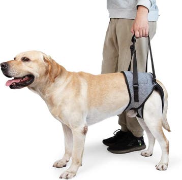 Medisch harnas gewonde hond Maat M - Retourdeal 58% korting, Ophalen of Verzenden, Gebruikt