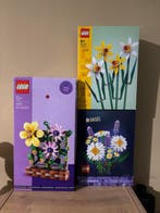 Lego Set - Ideas (CUUSOO) - Daisies; Flower Trolley Display;, Nieuw