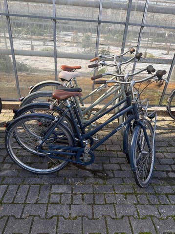 Partij fietsen te koop  Cortina,Gazelle,Batavus, Fietsen en Brommers, Ophalen, Terugtraprem, Versnellingen, Batavus