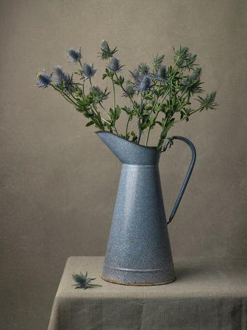 Tessa Posthuma de Boer - Blue Thistle, Antiek en Kunst