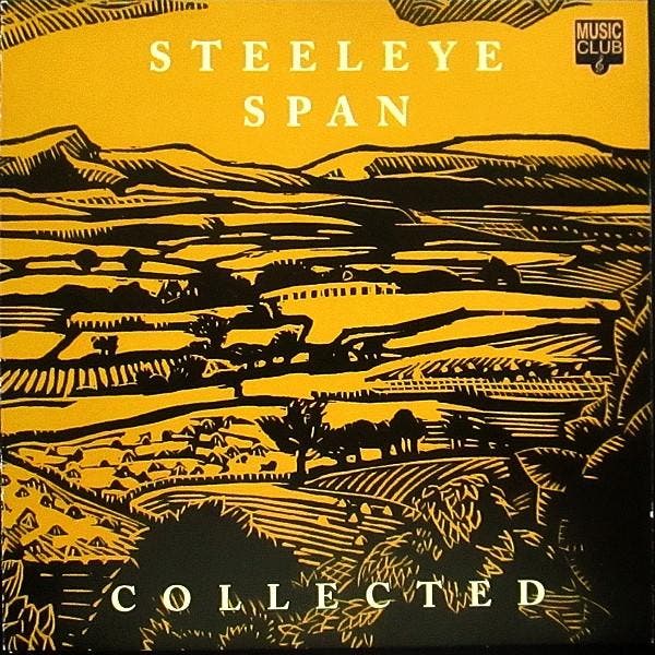 cd - Steeleye Span - Collected, Cd's en Dvd's, Cd's | Overige Cd's, Zo goed als nieuw, Verzenden