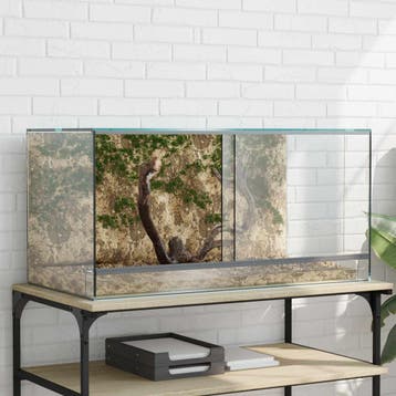 vidaXL Terrarium met opslag Transparant 80 x 40 x 40 cm Glas, Verzenden, Nieuw