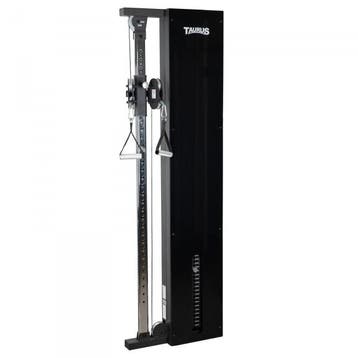 Taurus Design Line Single Pulley 67,5 kg, spiegelend, Verzenden, Nieuw