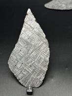 Muonionalusta - ijzeren meteoriet - volledig geëtste,