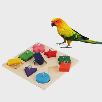 Interactief Houten Vormen Speelgoed voor Papegaaien - Educat, Dieren en Toebehoren, Vogels | Overige Vogels