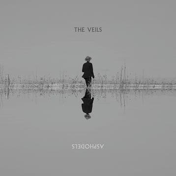 VEILS - ASPHODELS (2LP), Verzenden, Nieuw in verpakking