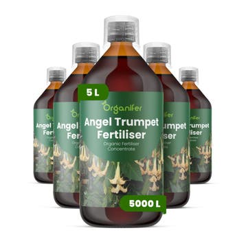 Engelentrompet Vloeibare Meststof - 5x1 Liter, Tuin en Terras, Verzenden, Mest