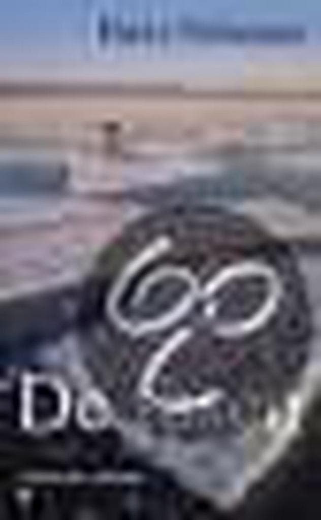 De fasen 9789025496586 Harry Pallemans, Boeken, Romans, Gelezen, Verzenden