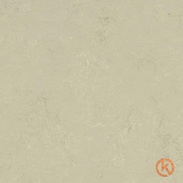 Kurk Klikvloer Linoleum - Concrete Shale - per m2, Ophalen of Verzenden, Nieuw