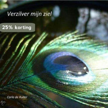 Verzilver mijn ziel - Carla de Ruiter 9789082185201, Verzenden, Gelezen, Carla de Ruiter