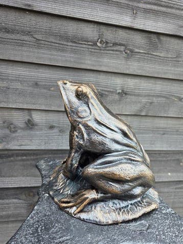 Beeld, XL Iron Frog 7.5kg - 24 cm - Gietijzer - 2026