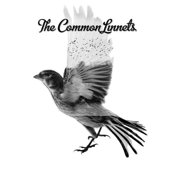 The Common Linnets - The Common Linnets - CD, Cd's en Dvd's, Cd's | Overige Cd's, Ophalen of Verzenden
