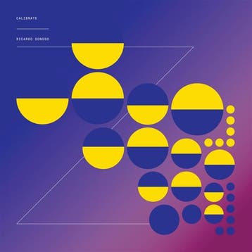 cd - ricardo donoso - CALIBRATE (nieuw), Verzenden, Zo goed als nieuw