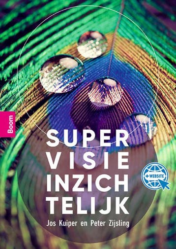 Supervisie inzichtelijk 9789024438044, Verzenden, Zo goed als nieuw