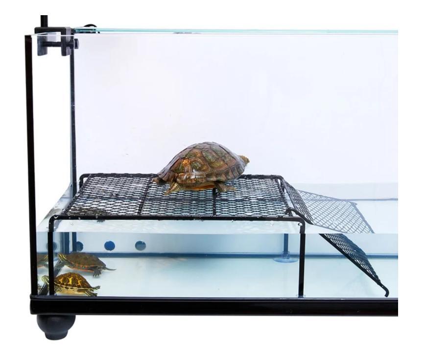 Schildpad Zonneplatform – Drijvend Basking Platform Aquarium Turtle photo 6