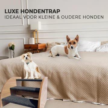 MaxxPet Hondentrap - easy step - 42x39x30cm - grijs (Dier), Verzenden, Nieuw