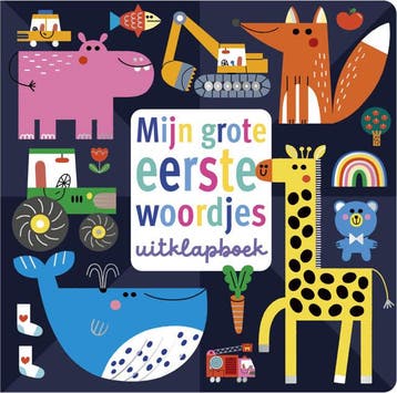 Mijn grote eerste woordjes uitklapboek (Goed), Boeken, Verzenden, Gelezen
