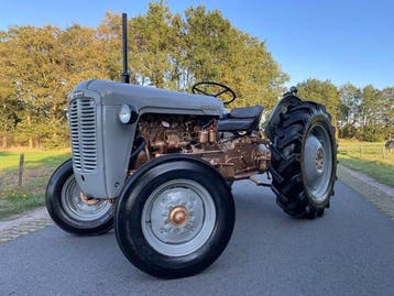 Massey Ferguson - 35 GOLD BELLY - 1957