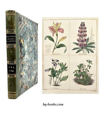 Maund - The Botanic Garden Vol. VIII - 1838