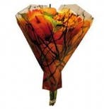 Boekethoes OPP40 mu Pumpkin + twig M-sta 52 x 44 x 12 cm, Ophalen of Verzenden, Nieuw