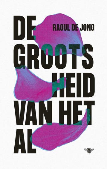 9789403119922 De grootsheid van het al Raoul de Jong, Verzenden, Nieuw, Raoul de Jong