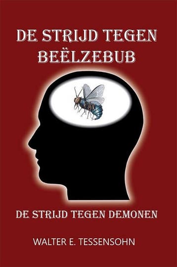 De strijd tegen Beëlzebub - Walter Tessensohn 9789491026928, Boeken, Verzenden, Gelezen, Walter Tessensohn