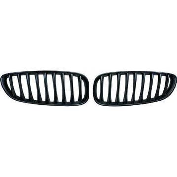 Glanzend Zwarte Nieren Grill BMW Z4 E89 B5766, Nieuw, Voor, BMW
