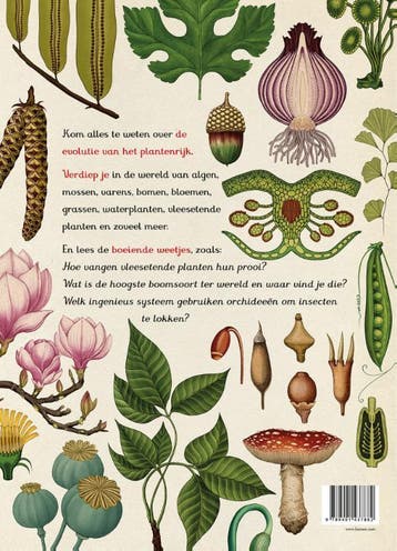 Het plantenboek 9789401437882 Kathy Willis, Verzenden, Zo goed als nieuw, Kathy Willis