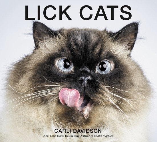Lick Cats - Carli Davidson 9780062420343, Boeken, Taal | Engels, Gelezen, Verzenden