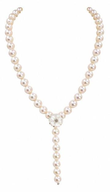 Halsketting 8×8,5 mm glanzende Akoya-parels, Zilver, Nieuw