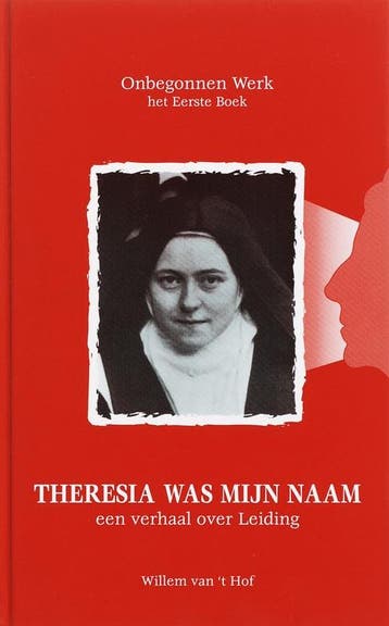 Onbegonnen werk Theresia was mijn naam - W. van t Hof, Verzenden, Zo goed als nieuw, W. van 't Hof