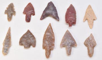 Neolithisch Jasper, Flint Prachtige 10 Arrowheads AA++