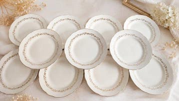 Villeroy & Boch - France-Saar (1947-1956) - Tafelservies -