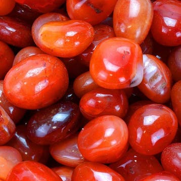 Nieuw - Hoge Kwaliteit - Karneool - Getrommelde stenen -, Verzamelen, Mineralen en Fossielen