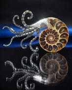 Geen reserveprijs Prachtige ammoniet hanger/broche