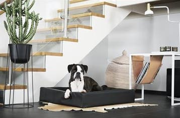 Bia bed hondenmand original zwart (Hondenmanden Bia bed), Verzenden, Nieuw