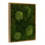 Vintlux Mosschilderij Lappenmos-Bolmos 40x60 cm Eikenhout -, Huis en Inrichting, Nieuw