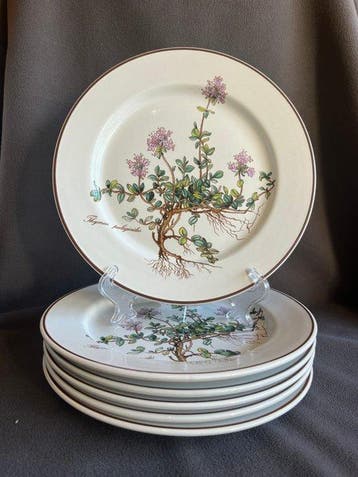 Villeroy & Boch - Dessertservies (6) - Botanica - Thymus