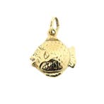 Gouden hanger van een vis (Hanger of bedel), Ophalen of Verzenden, Gebruikt, Goud, Overige merken