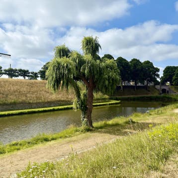Huis in Hulst gevonden voor €1310,- pm, Huizen en Kamers, Overige soorten, Direct bij eigenaar, Zeeland, Hulst