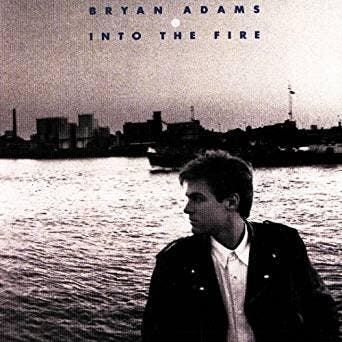 cd - Bryan Adams - Into The Fire, Verzenden, Zo goed als nieuw