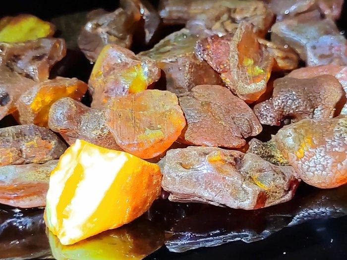 Baltisch amber - van hoge kwaliteit AAA- 100 g, Verzamelen, Mineralen en Fossielen