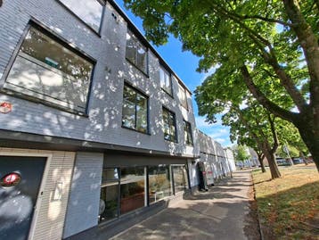 Te huur: Kamer Jacob Catsstraat in Den Bosch