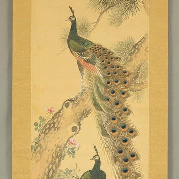 Peafowl Pine Tree and Rose with Box - Hazama Seigai