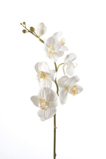Emerald - Phalaenopsistak - Orchidee - Kunstbloem - 75 cm -, Verzenden, Nieuw