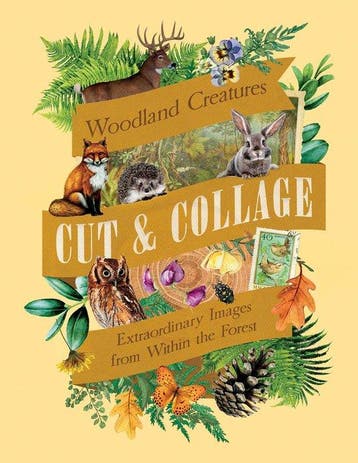 9798887621647 Cut  Collage Woodland Creatures, Boeken, Verzenden, Nieuw, Earth Aware Editions